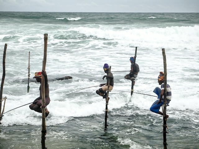 高蹺釣魚 stilt fishing
